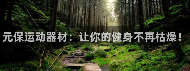 征途国际集团简介:元保运动器材:让你的健身不再枯燥!