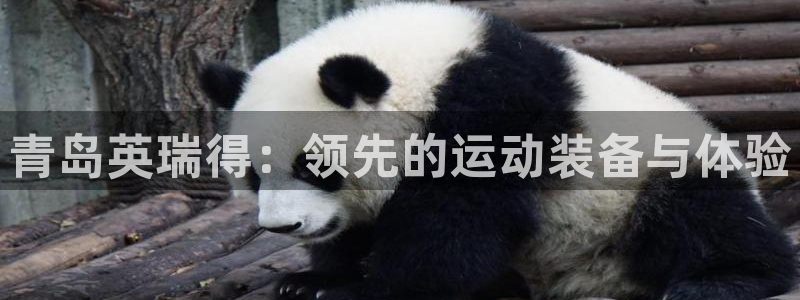 征途国际娱乐40996:青岛英瑞得:领先的运动装备与体验