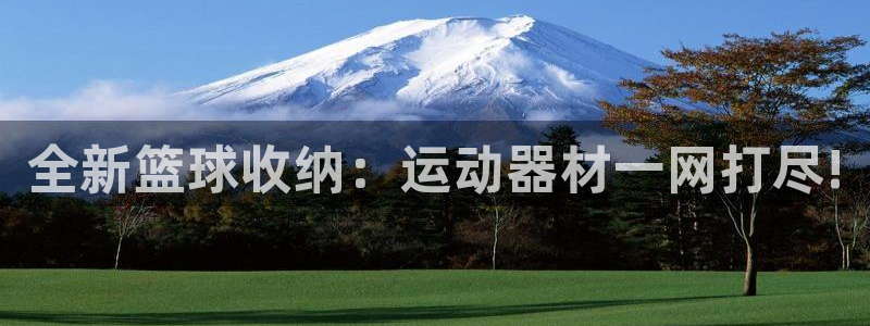 征途国际招商电话是多少啊:全新篮球收纳:运动器材一网打尽!